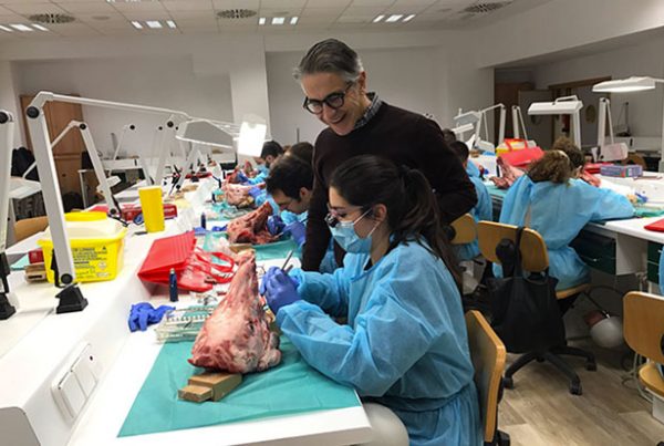 La Universidad Católica de Valencia vuelve a contar con el Dr. Buitrago para su curso de implantología avanzada